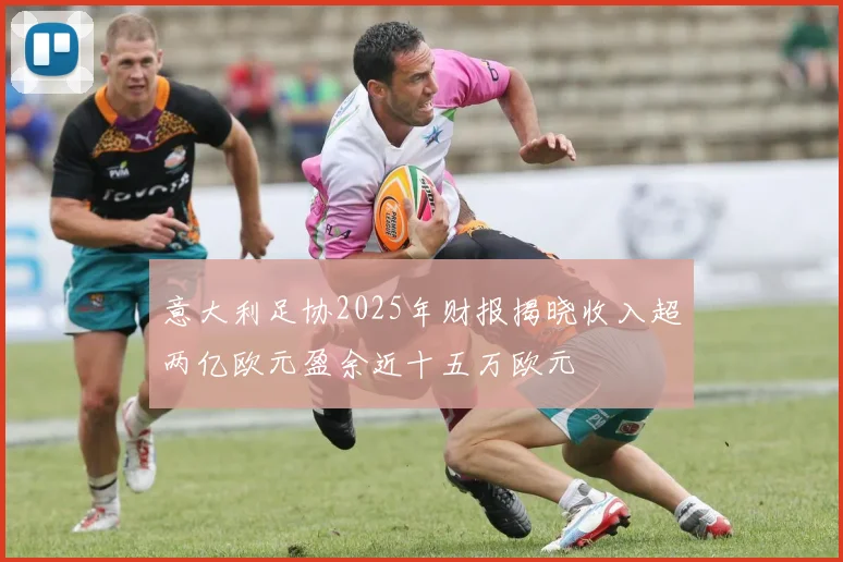 意大利足协2025年财报揭晓收入超两亿欧元盈余近十五万欧元